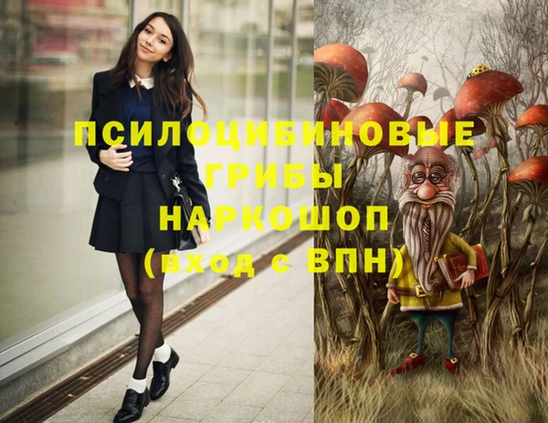 молекула духа Алзамай
