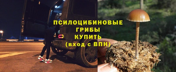 молекула духа Алзамай