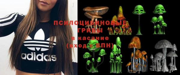 молекула духа Алзамай