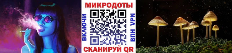 купить наркоту  Сураж  Галлюциногенные грибы прущие грибы 
