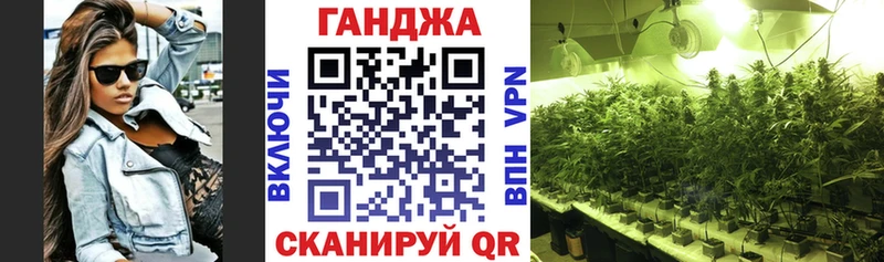 Конопля индика  где продают наркотики  Сураж 